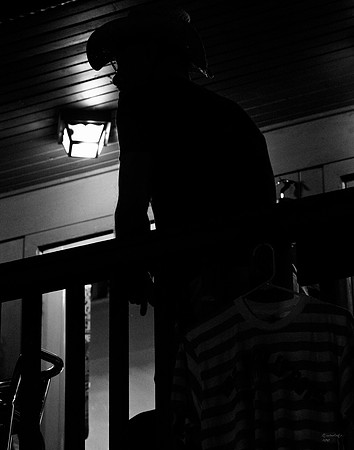 Dark Man