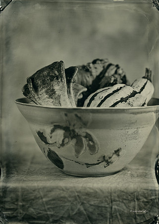 wet plate collodion, still life