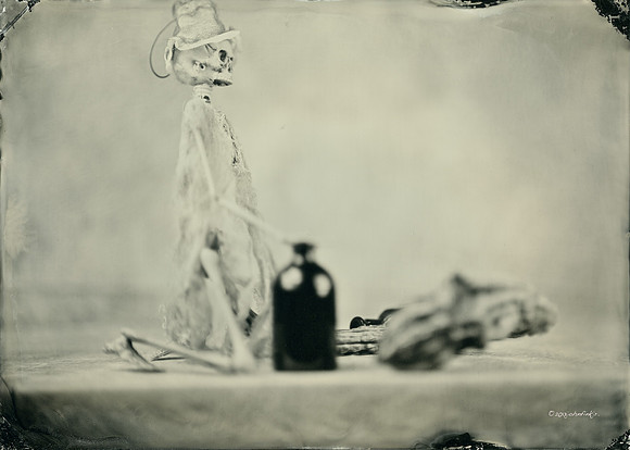 wet plate collodion, Still Life, Skulls, Skeletons, Bones, Graveyards