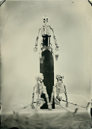 wet plate collodion, Still Life, Skulls, Skeletons, Bones, Graveyards