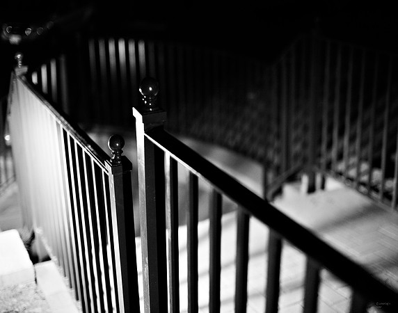 Rail