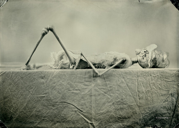 wet plate collodion, Still Life, Skulls, Skeletons, Bones, Graveyards
