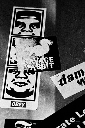 Savage Rabbit