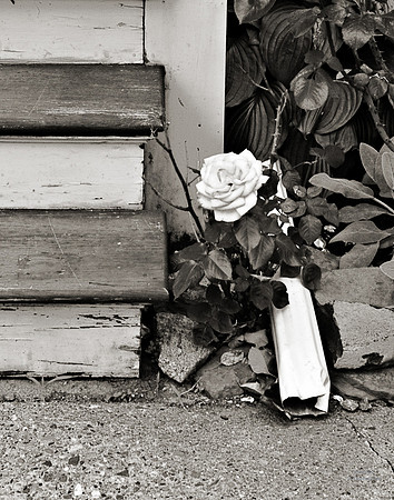 "People, Street Scenes, Pondered Artifacts"