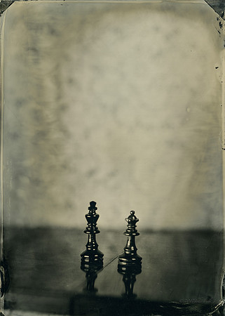 wet plate collodion, still life