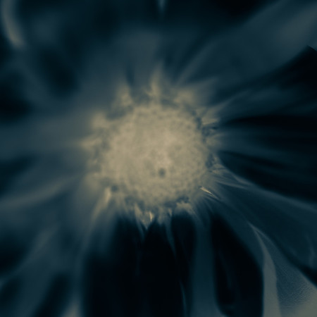 Art, Color, Flowers, Floral, Photo Art, ©johnfinkjr