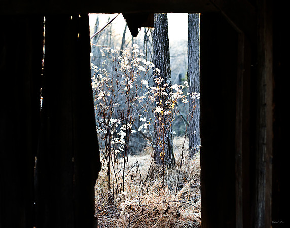 "Color, Doors, Objects, Scenery, Windows, Architecture, Automobiles, Artifacts"