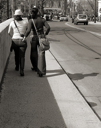 "People, Street Scenes, Pondered Artifacts"