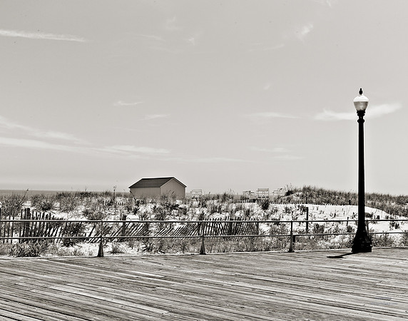 The Lonely Lamp