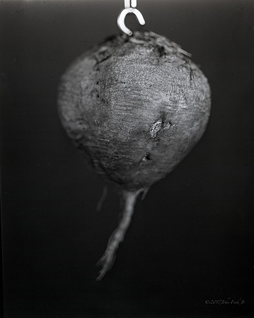 still life, organic matter, vegetables, of the earth series