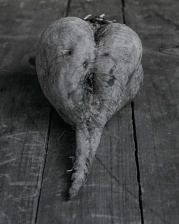 still life, organic matter, vegetables, of the earth series