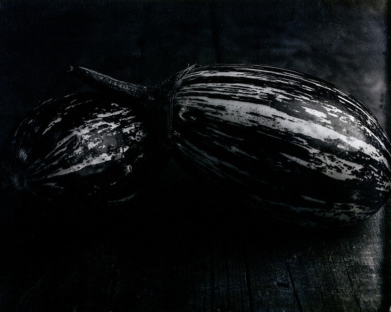 still life, organic matter, vegetables, of the earth series