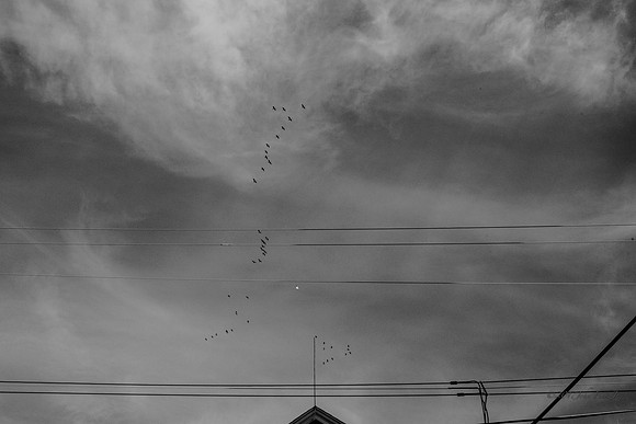 street photography, people, B&W, street scenes