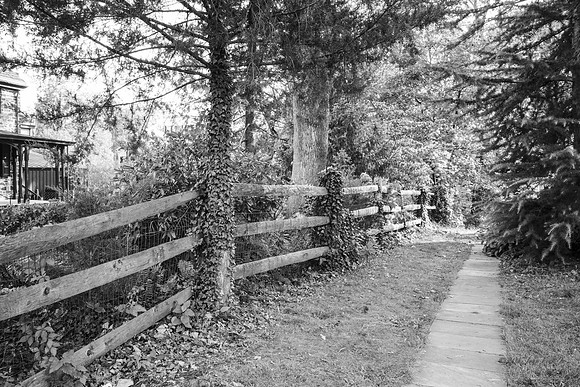 street photography, people, B&W, street scenes