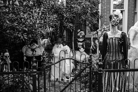 halloween, displays, Skeletons, horror,