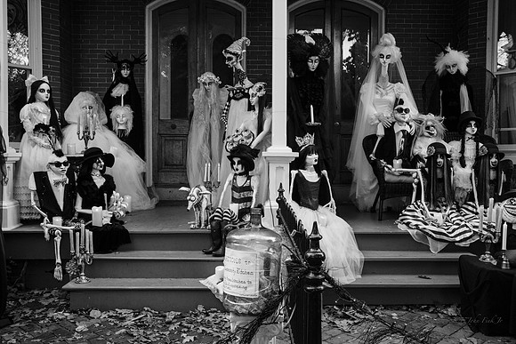 halloween, displays, Skeletons, horror,
