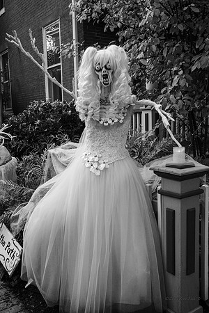 halloween, displays, Skeletons, horror,