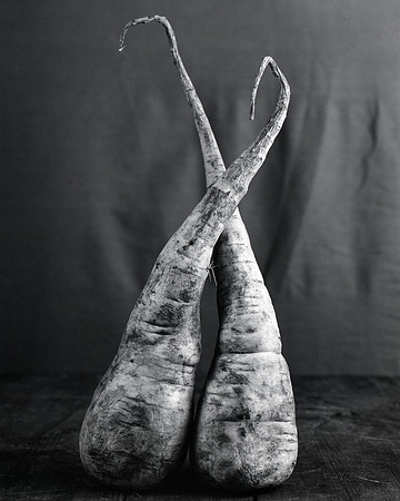 still life, organic matter, vegetables, of the earth series