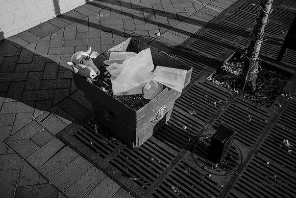 street photography, people, B&W, street scenes