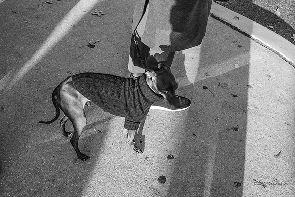 street photography, people, B&W, street scenes