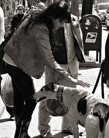 "People, Street Scenes, Pondered Artifacts"