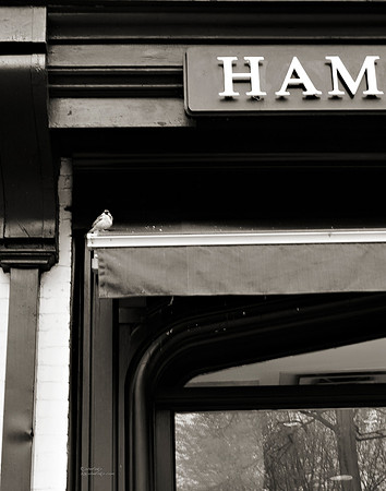 "People, Street Scenes, Pondered Artifacts"