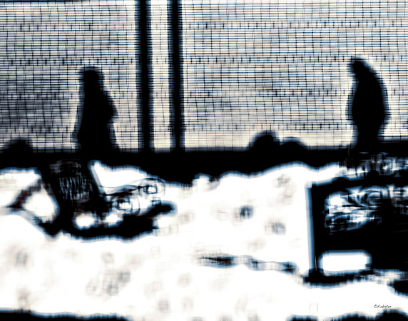 Shadow Watchers