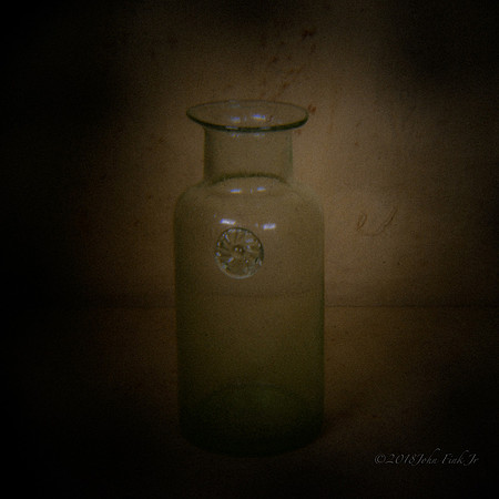 holga, still life, flowers, flora, organic, objects