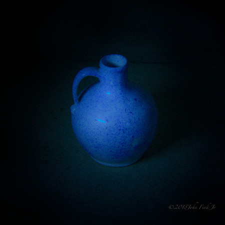 holga, still life, flowers, flora, organic, objects