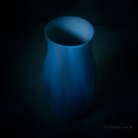 holga, still life, flowers, flora, organic, objects