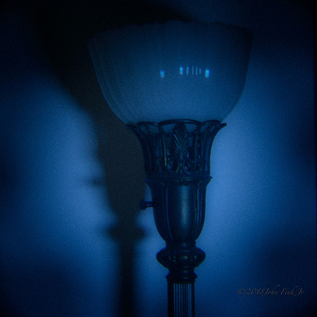 holga, still life, flowers, flora, organic, objects