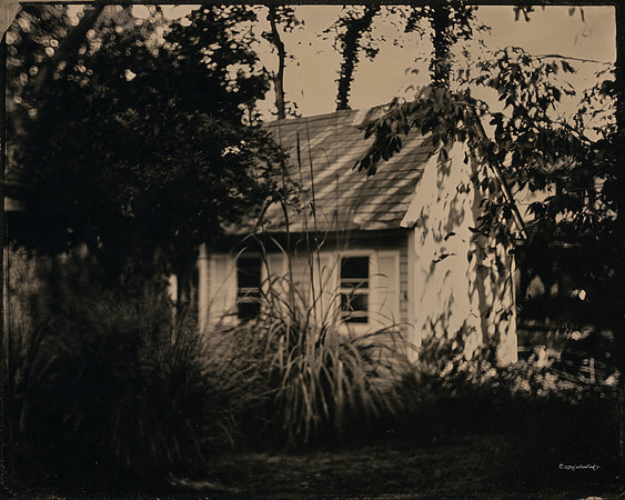 wet plate collodion, landscapes, trees, exterior spaces, exterior structures