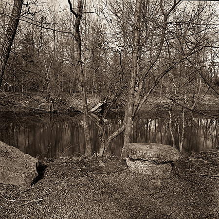 nature