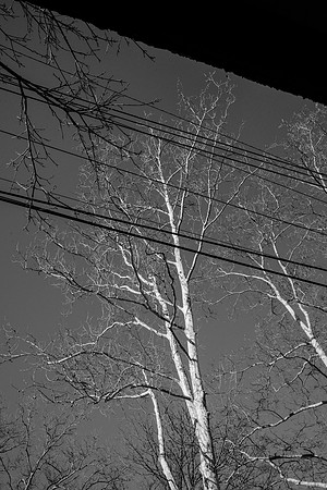 street photography, people, B&W, street scenes