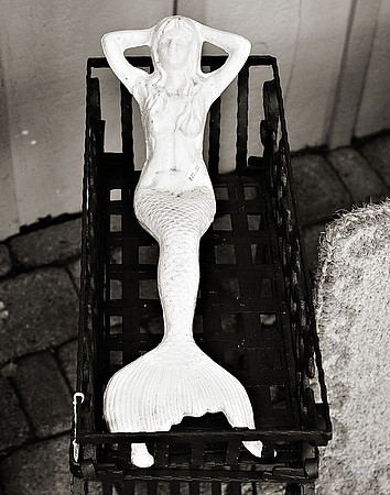 "People, Street Scenes, Pondered Artifacts"