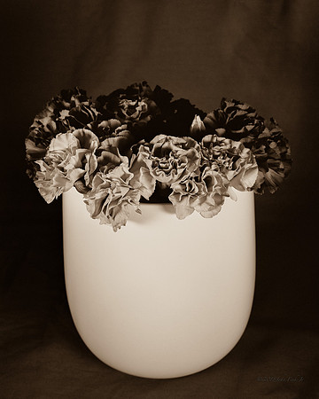 Sharon's Flowers In A Vase