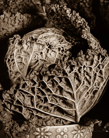 still life, organic matter, vegetables, of the earth series