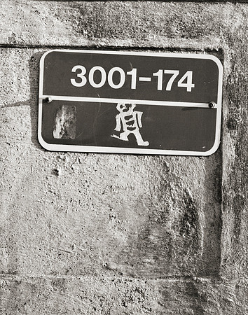 "People, Street Scenes, Pondered Artifacts"
