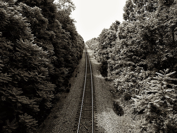 Looking North