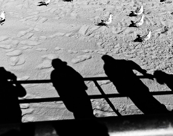 "People, Street Scenes, Pondered Artifacts"