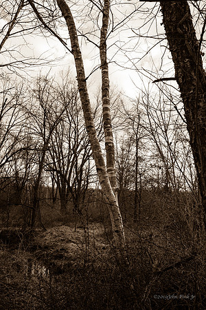 nature