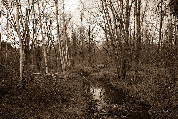 nature