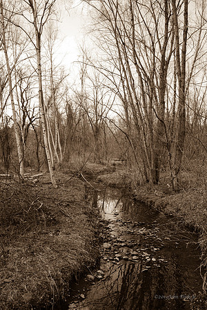 nature