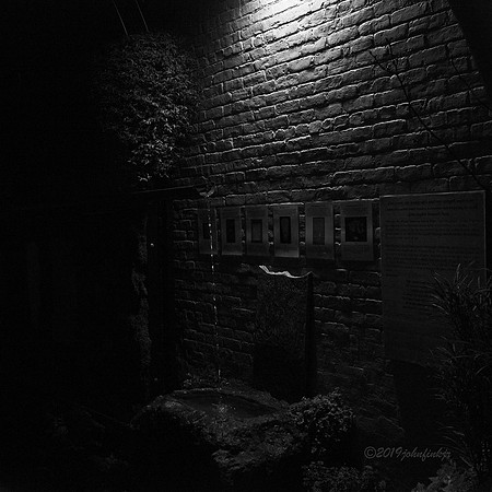 Nocturnal Photography