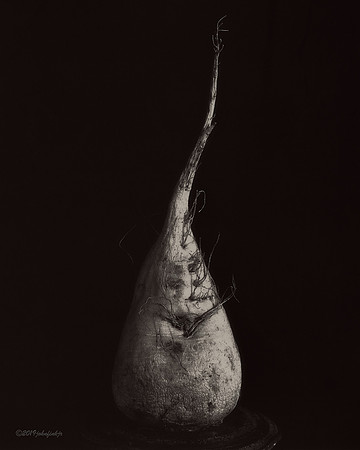 still life, organic matter, vegetables, of the earth series