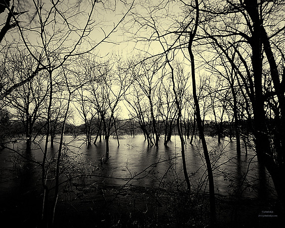 The Water's Edge