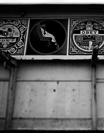 Out Of Focus Obedience