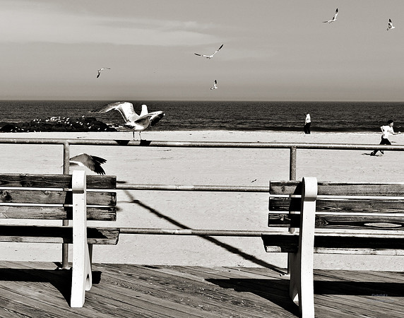 "People, Street Scenes, Pondered Artifacts"