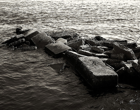 Black Rocks At Kent County Yacht Club In Chesapeake Bay