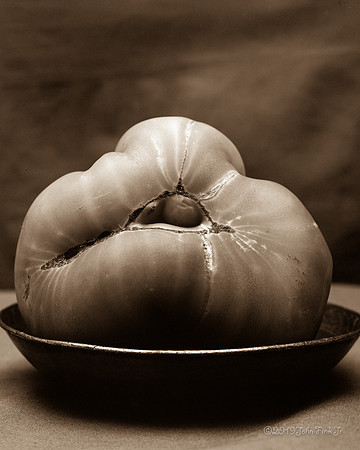 still life, organic matter, vegetables, of the earth series
